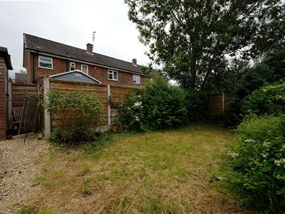 Picture 19